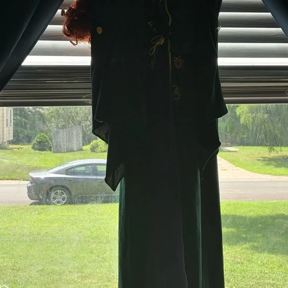 Hocus Pocus Winnie Sanford Costume Dress with Wig🎃 - Picture 2 of 3